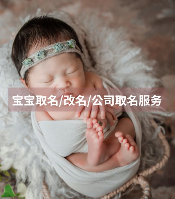 网站产品 (6)