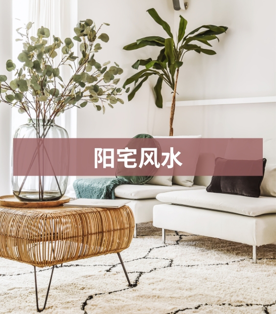 网站产品 (9)